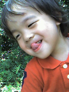 ゆうたん作品(6/6)