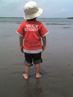 ゆうたん作品(6/6)