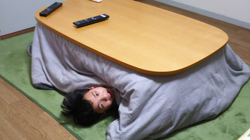 (1/29)こたつむり