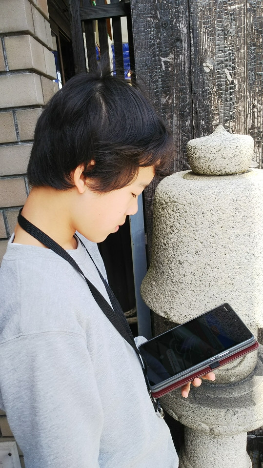 (3/31)ポケモンGOレイド参戦