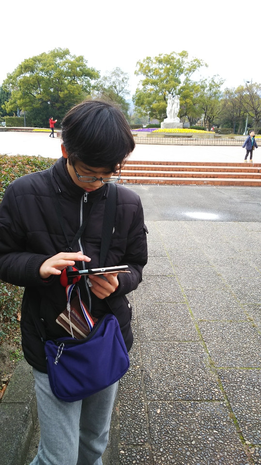 (1/12)Pokemon GO